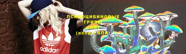 бутират Белокуриха